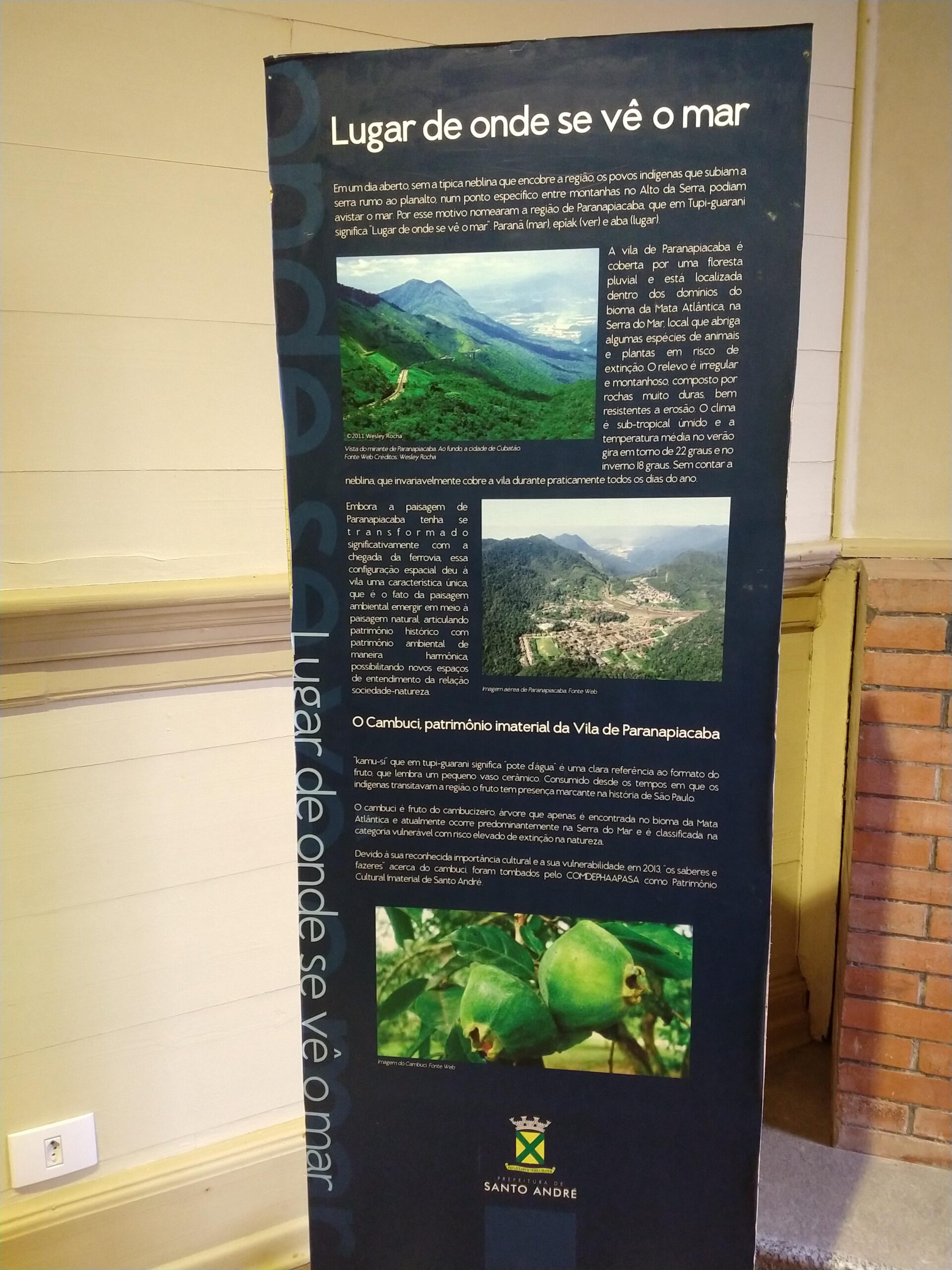 IMG_20220910_150254211